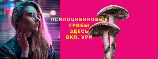 дживик Алексеевка