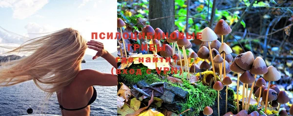 соль ск Алзамай