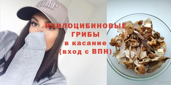 соль ск Алзамай