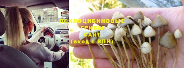 соль ск Алзамай